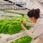 Hydroponics tools : hydroponic system